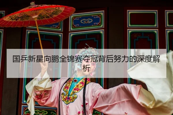 国乒新星向鹏全锦赛夺冠背后努力的深度解析